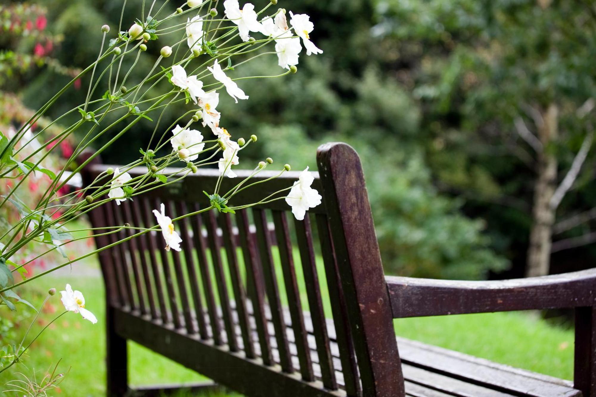 Yha Grasmere Butharlyp Howe Ngoại thất bức ảnh